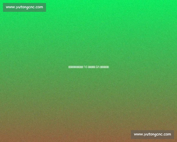 篮球跃动舞姿燃!永康 16 小舞者为浙 BA 注入青春能量 篮球跃动舞姿燃!永康 16 小舞者为浙 BA 注入青春能量